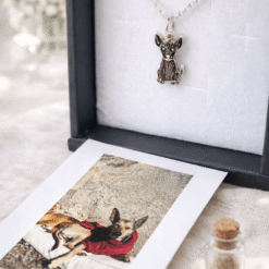Dije gatito o perrito personalizado plata 925