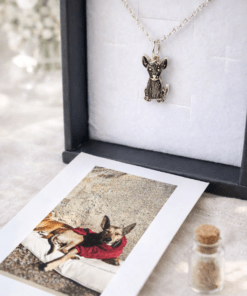 Dije gatito o perrito personalizado plata 925
